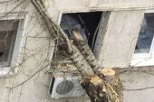 Nesvakidašnji incident na Zvezdari: Drvo se obrušilo na zid bolnice i jednim delom "ušlo" kroz prozor! (FOTO)