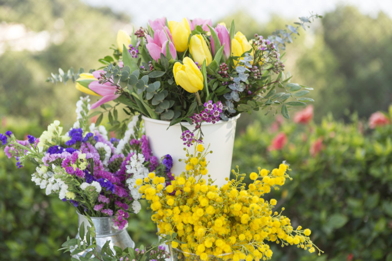 Donesite boje i radost u vašu baštu ili na balkon: Posadite ovih pet cvetnica i do kraja uživajte u lepoti i mirisu