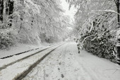 Putari se čitavu noć borili sa snegom: Zlatibor i Tara zavejani, na području Debelog brda palo 30 cm snega!