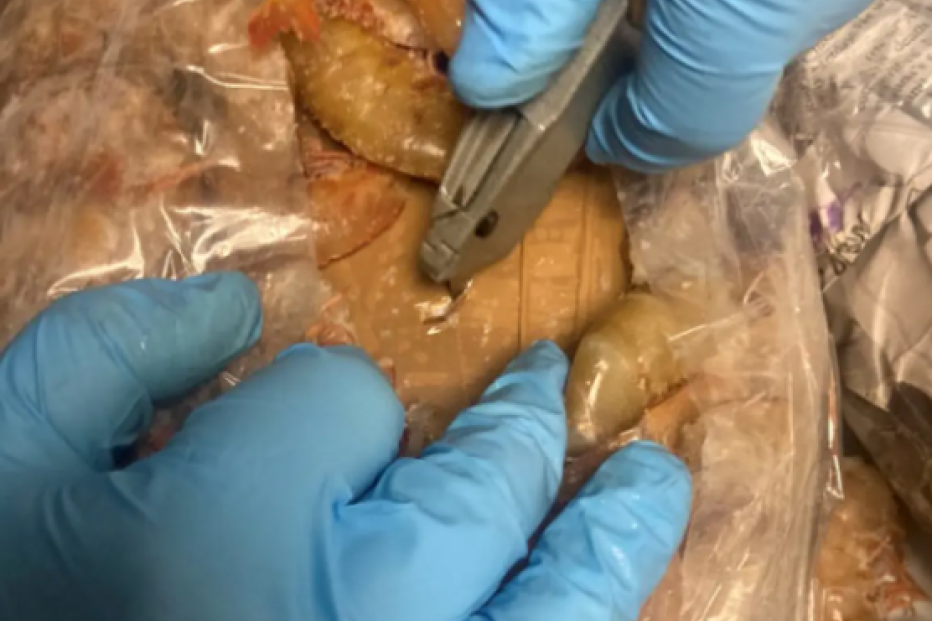 Skoro 20 kilograma kokaina pronašli u smrznutim škampima: Putnik hteo da zaradi, sada će u zatvor