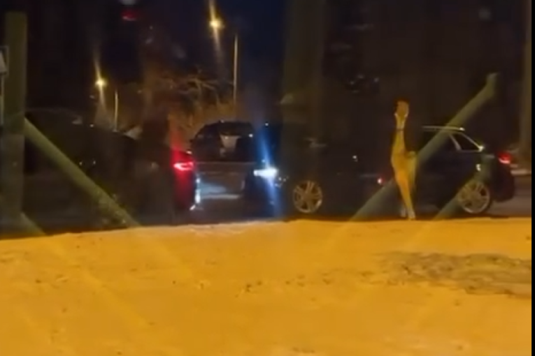 Opšti haos na Zvezdari: Obračun dvojice vozača, izašli iz automobila, pa se potukli (VIDEO)
