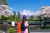Japancima muka od "bahatih turista": Podižu ogromnu mrežu koja će blokirati pogled na planinu Fudži!