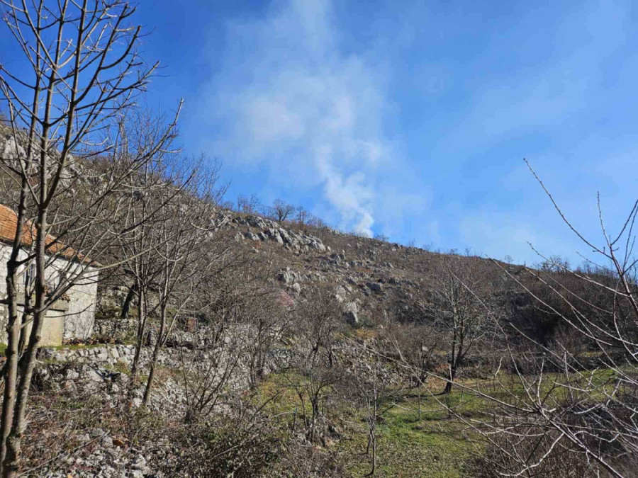 Veliki šumski požari kod Cetinja! U opasnosti bile i porodične kuće, vatrogasci se satima borili sa stihijom! (FOTO)