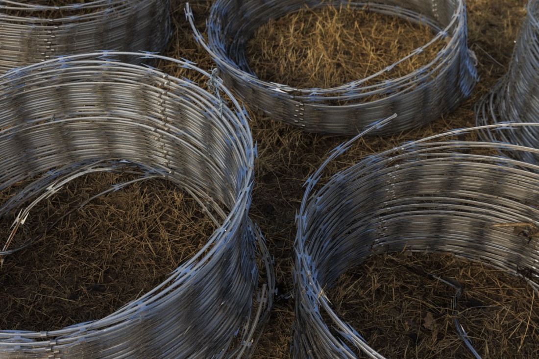 "Usamljena zvezda" nije više usamljena: Kako je Teksas dobio podršku u borbi sa migrantima, a Bajden sateran u ćorsokak?