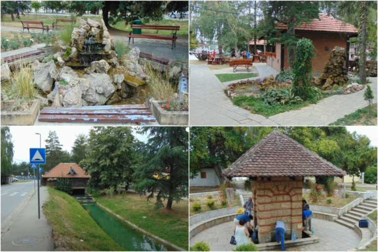 Tragačica postavila Memedoviću zanimljivo pitanje o kućnim poslovima: Odgovor zasmejao sve u studiju