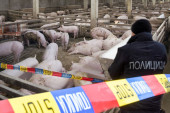Užas u Severnoj Makedoniji: Srbin pronađen mrtav na farmi svinja