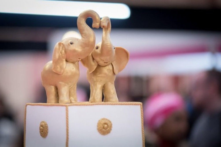 Detalj koji može da promeni vaš život: Figurica slona donosi blagostanje u vaš dom