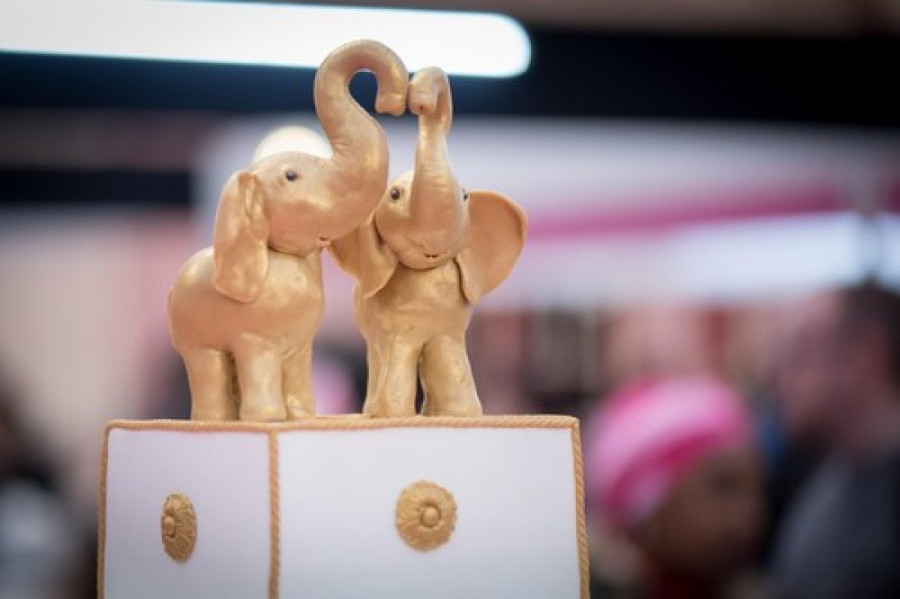 Od sove do krave: Svete životinje kojima se klanjaju ljudi širom sveta kriju mnoge tajne