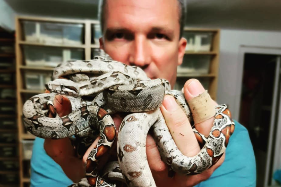 Porodica Radosavljević živi sa 300 zmija: Deca ne znaju za strah