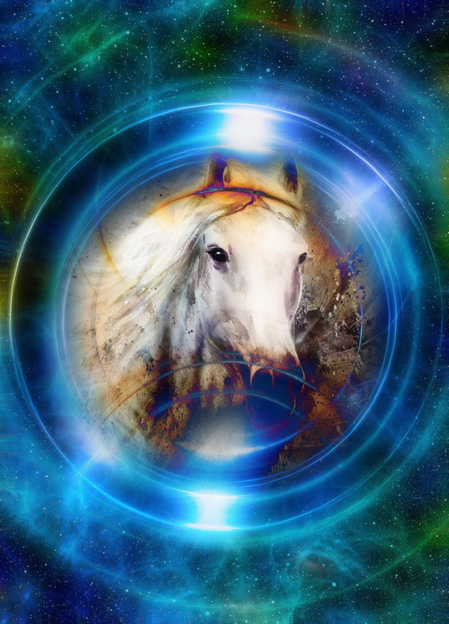 Pet znakova kineskog Zodijaka s najviše sreće u ljubavi: Do kraja meseca sve je u znaku romantike