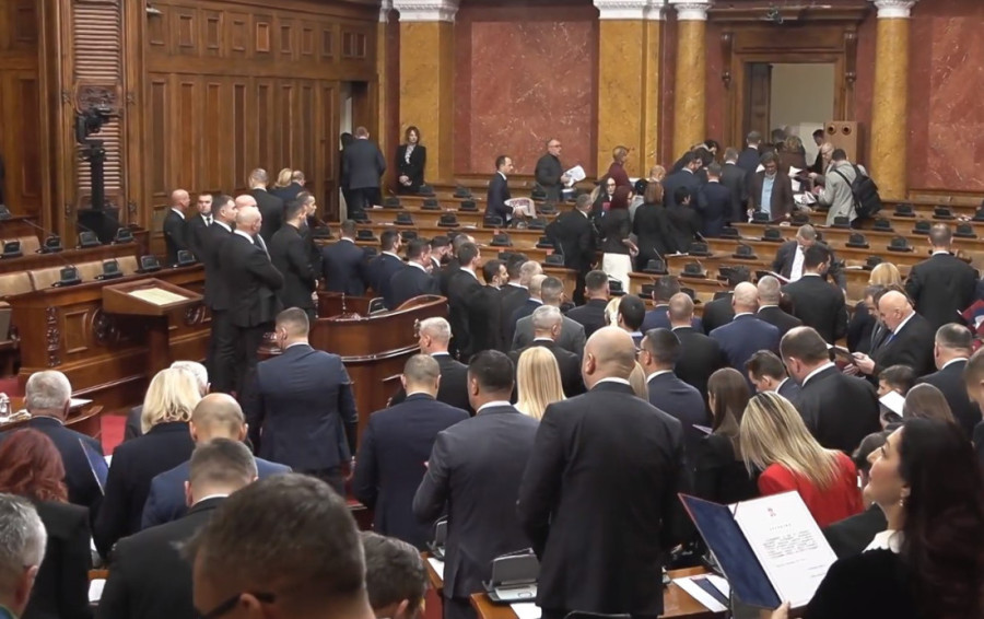 Pomračenje uma kompletne opozicije, to su pokazali uličarskim ponašanjem: Danijela Vujičić razbucala Đilasa i njegovu svitu