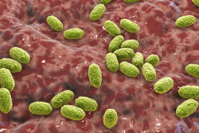 Trenutno u Srbiji cirkuliše nekoliko stomačnih virusa, najviše pogađaju decu