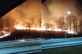 Veliki požar kod Malog Požarevca: Celo brdo u plamenu! (VIDEO)