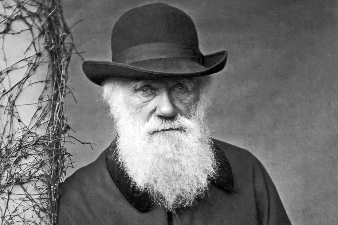 Na prodaju knjige ilustracija Darvinovog ''čoveka ptice“: Cena neverovatna (FOTO)