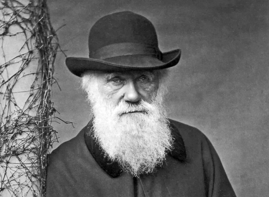 "Okrenuo bi se u grobu da zna da nam preti masovno istrebljenje": Grobnica Čarlsa Darvina na meti klimatskih aktivista (FOTO)