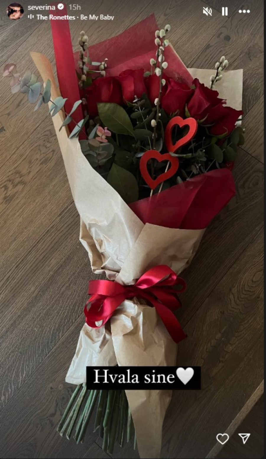 Severinu iznenadio sin: Nakon gubitka starateljstva, pokazala šta je dobila od njega i sve raznežila (FOTO)