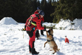 Na Kopaoniku održana obuka pasa za pretrage i spasavanje iz lavina