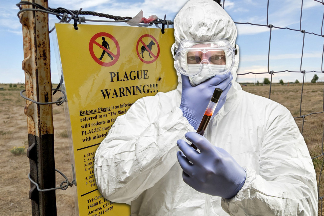 Još nam je i ovo falilo: Vratila se kuga - evo ko je sve zaražen!