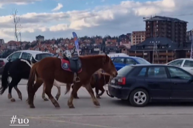Grozna scena usred Zlatibora: Dva konja i jednog ponija vezao za automobil, pa ih vukao nasred ulice! (VIDEO)