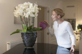 Pripazite na one koji vole orhideje: Vaša strast prema cveću otkriva vaš karakter!