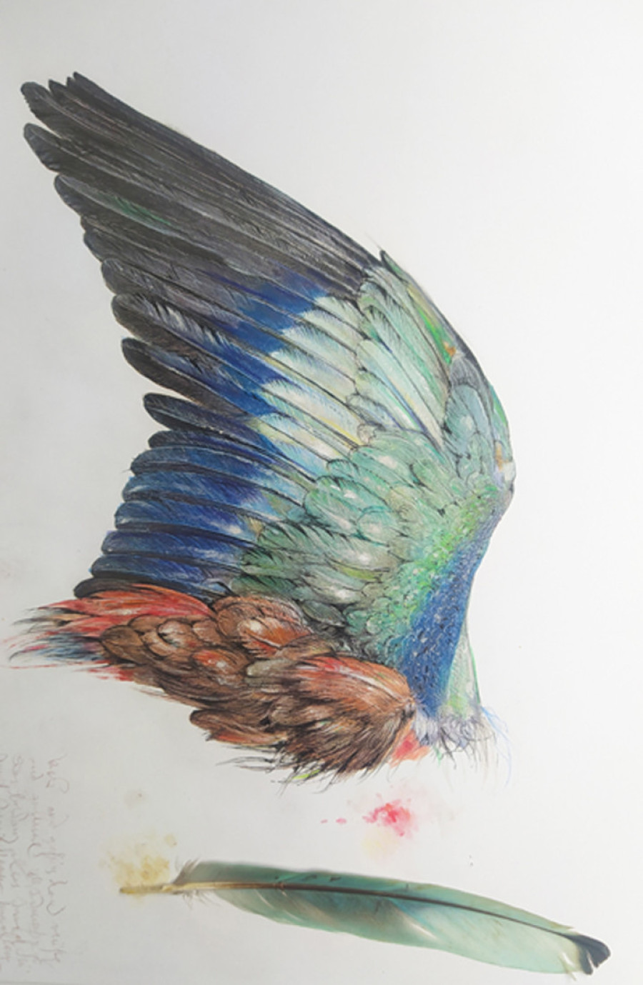 Tajna umetnika sa “pravom rukom” koja može ono što izgleda nemoguće: Posetite "Magiju crteža" (FOTO)