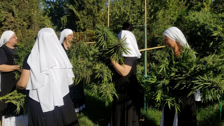 Meksičke "kanabis kaluđerice" odlučile da uzmu travu narkosima: Šire jevanđelje o lekovitim moćima kanabisa
