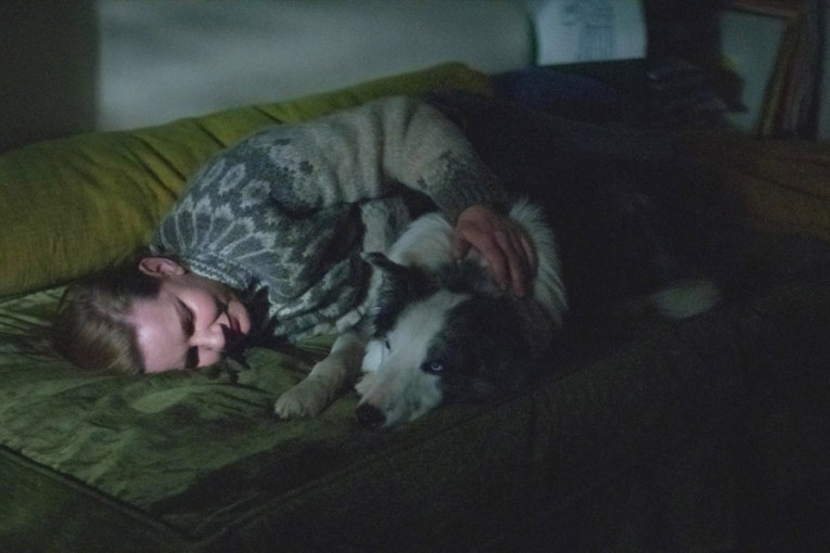Upoznajte Mesija, psa koji zaslužuje Oskara: Igra u filmu "Anatomija pada", a specijalnost mu je da se pravi mrtav (VIDEO)
