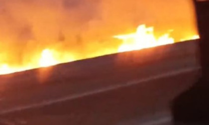 Požar na auto-putu kod Subotice: Gori nisko rastinje! (VIDEO)