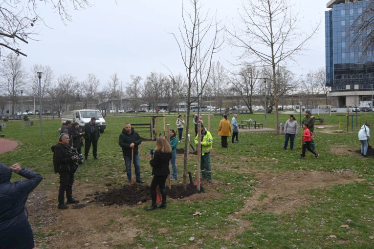 Blok 19 a  u akciji "Za zeleni Novi Beograd" oplemenjen novim ukrasnim stablima!