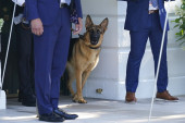 Bajdenov pas je napao ljude 24 puta, ali nije jedini predsednički ljubimac koji je pravio probleme