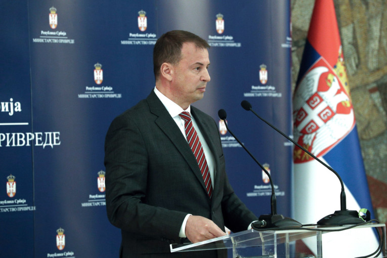 Cvetković: U Srbiji ne postoji diskriminacija domaćih investicija na račun stranih