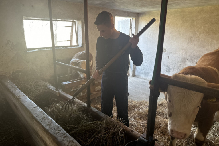 On je najmlađi farmer u Srbiji: Zoran iz Ježevice ima samo 16 godina i dečak je za primer, sam kupio svoje životinje i brine o njima