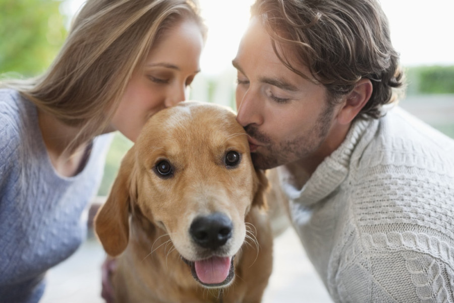 Najbolji prijatelji zauvek: Četiri znaka da vas pas voli najviše na svetu