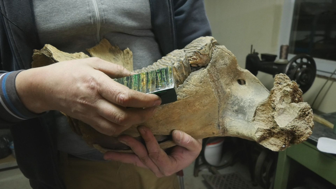 Saša pravi drške za noževe od zuba mamuta: Ovaj posao je pretočio u hobi, njegovi unikatni noževi obilaze svet! (FOTO)