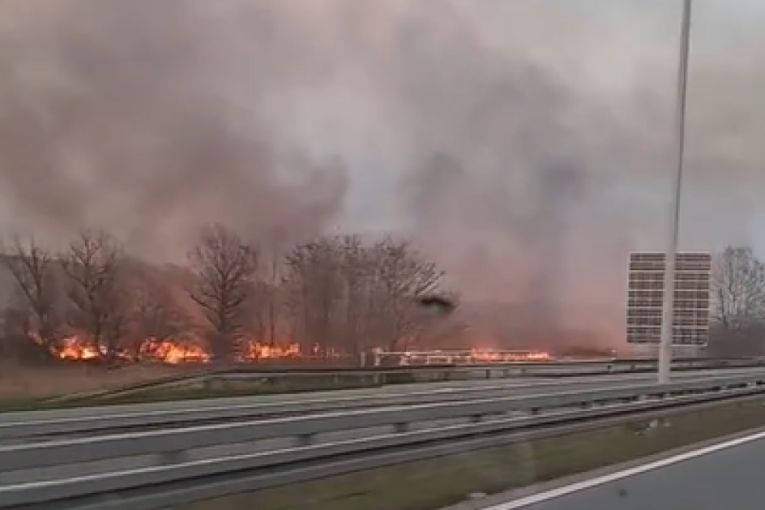 Vatrena linija pored auto-puta: Dramatičan prizor kod Malog Požarevca! (VIDEO)
