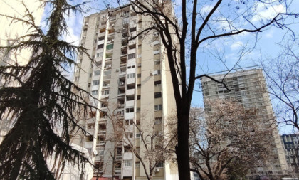 Panika usred Novog Sada! Neobično stvorenje gmizalo između zgrada! (VIDEO)