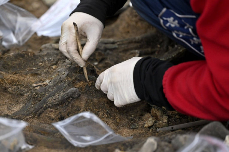 Zašto ljudi vezuju krpice za drvo staro stotinama godina? Tajanstveni običaj na Kipru za koji mnogi ne znaju (FOTO)