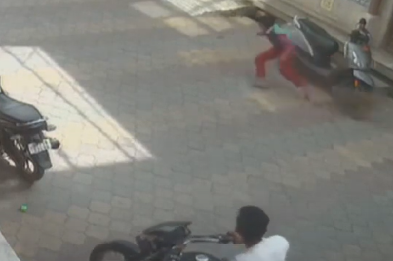 Majmun brutalno napao dečaka nasred ulice: Prolaznici nisu ništa učinili (VIDEO)