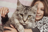 Šta znači kad vam dođe mačka: Vidarske moći vaše ljubimice i tajni signali koje vam šalje