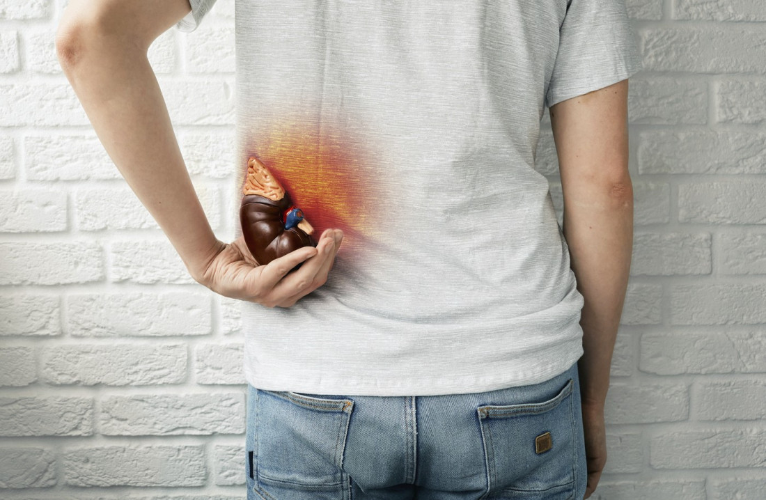 Tiha epidemija u Srbiji: 700.000 ljudi ima problem sa bubrezima, mnogi to i ne znaju