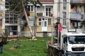 Incident u Priboju: Drvo palo na zgradu!