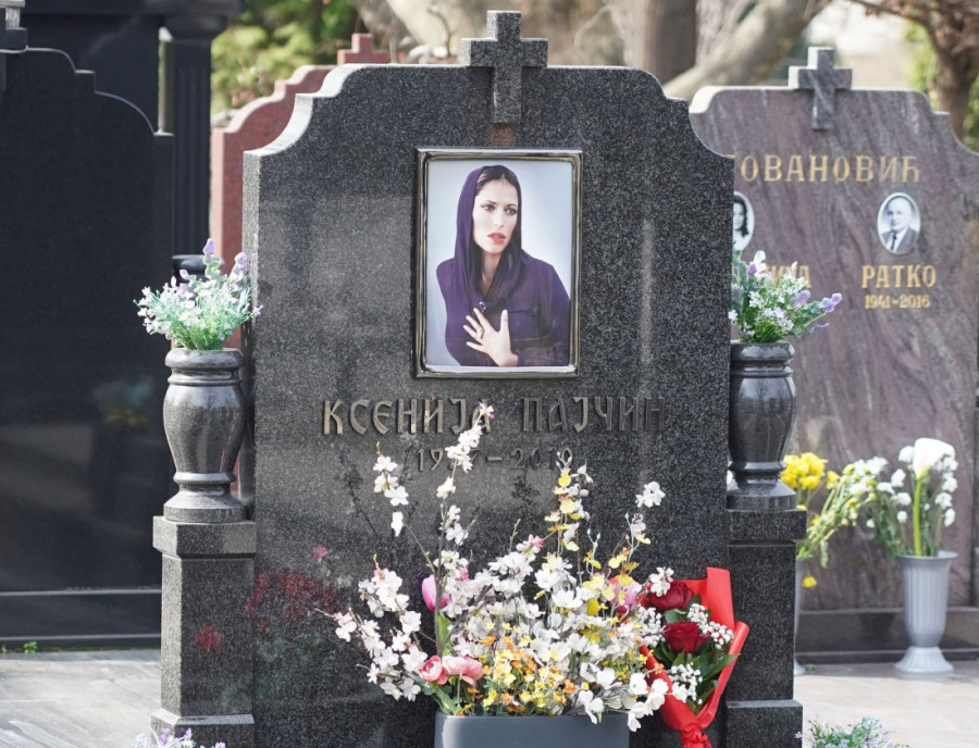 Šta se dešavalo 24 sata pre ubistva Ksenije Pajčin? "Tukli su se u separeu!"