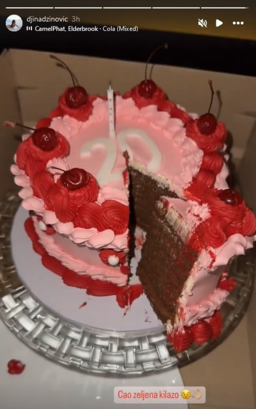 Melina Džinović u vilu na Senjaku više ne može, pa je ovako čestitala 20. rođendan ćerki Đini (FOTO)