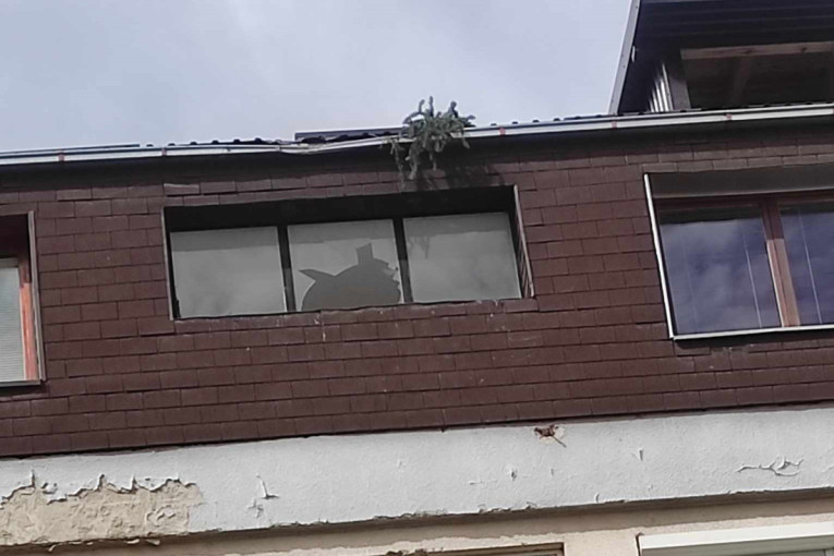 Puklo staklo na krovu i oštećen oluk - stanovi netaknuti: Ovako danas izgleda zgrada u Priboju na koju je palo drvo (FOTO)