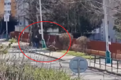 Medved nasred ulice nasrnuo na muškarca i ženu! Pogledajte zastrašujući snimak - zver trči, čovek preskače ogradu (VIDEO)