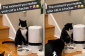 Žena se sledila u viralnom videu: Mačka mi je haker, provalila je šifru na hranilici (VIDEO)