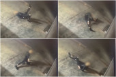 Žena vežbala jogu i protezala se - da bi provalila u pekaru: Ovaj snimak stvarno niko nije očekivao (VIDEO)