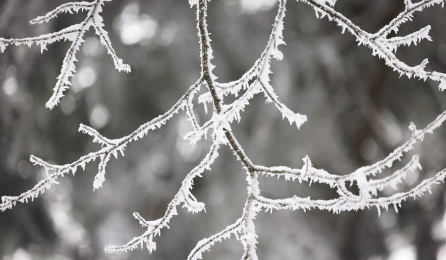 Narodna verovanja kažu: Toplo vreme za Petkovdan donosi oštru zimu!