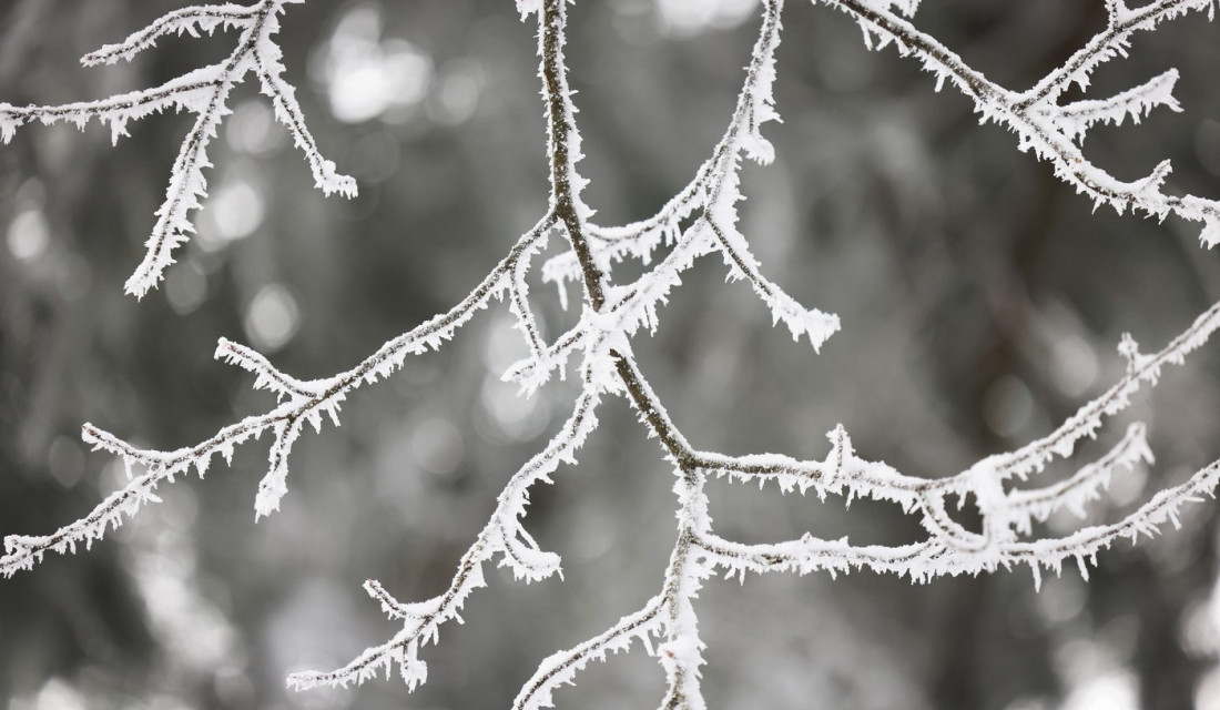 U Srbiji jak mraz: Ovog jutra -6, na planinama sneg