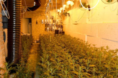 Laboratorija kod Smedereva: Ovo je zaplenjena aparatura za uzgoj marihuane (FOTO)